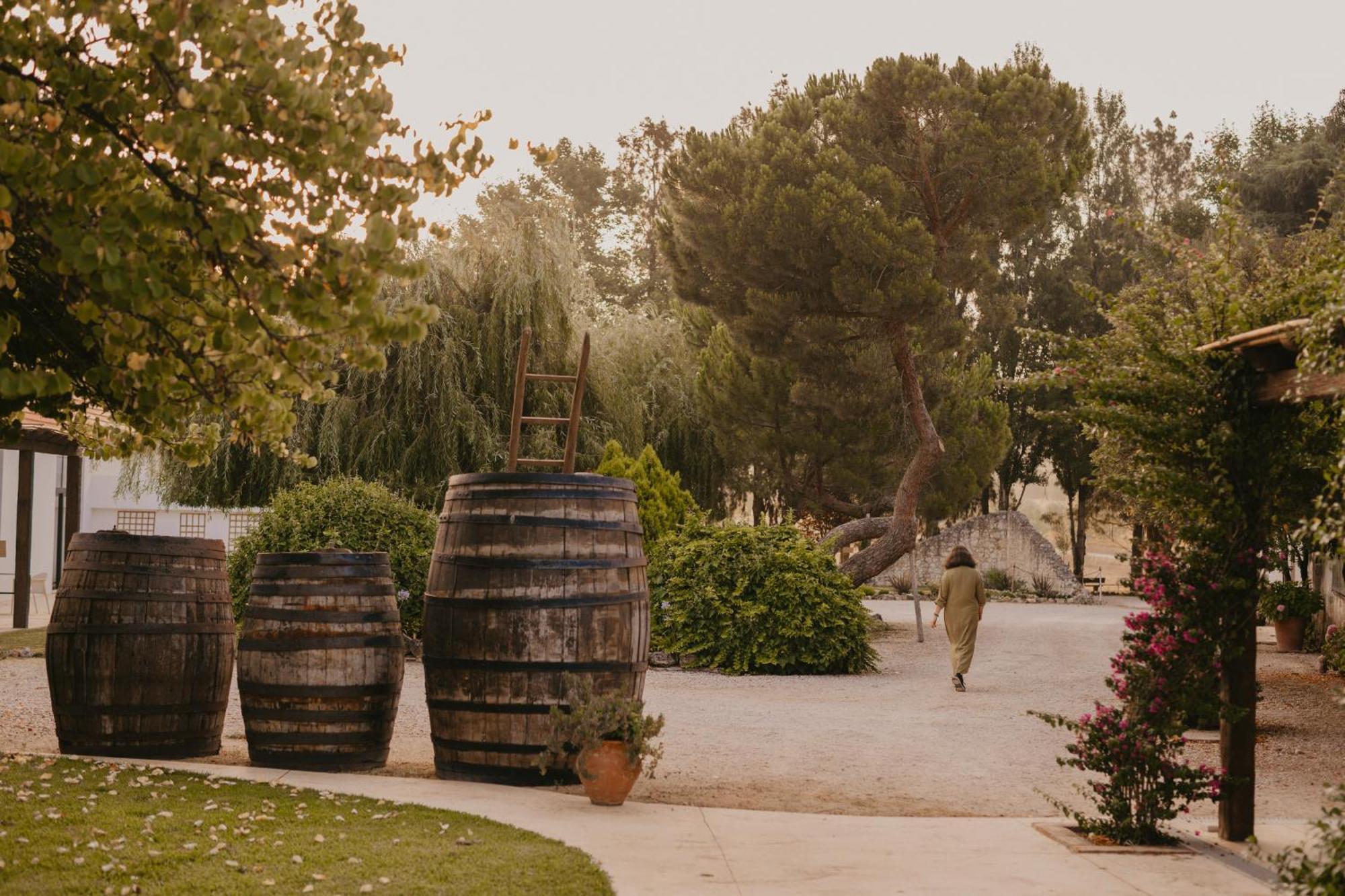 Quinta Carvalhas - The Green Farm Hotel Casevel Exterior photo